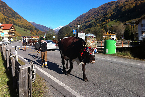 Sehenswertes im Ahrntal