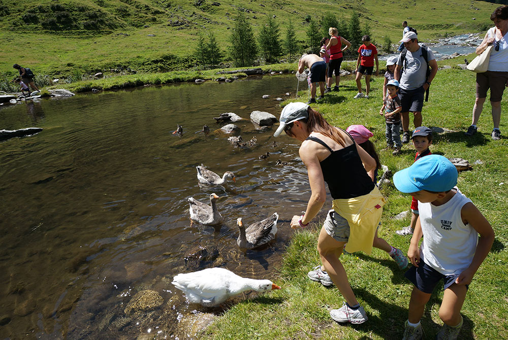 Summer holidays in the Aurina Valley